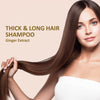 Hair Shampoo with Ginger Extract 100 ml each Pack of 2